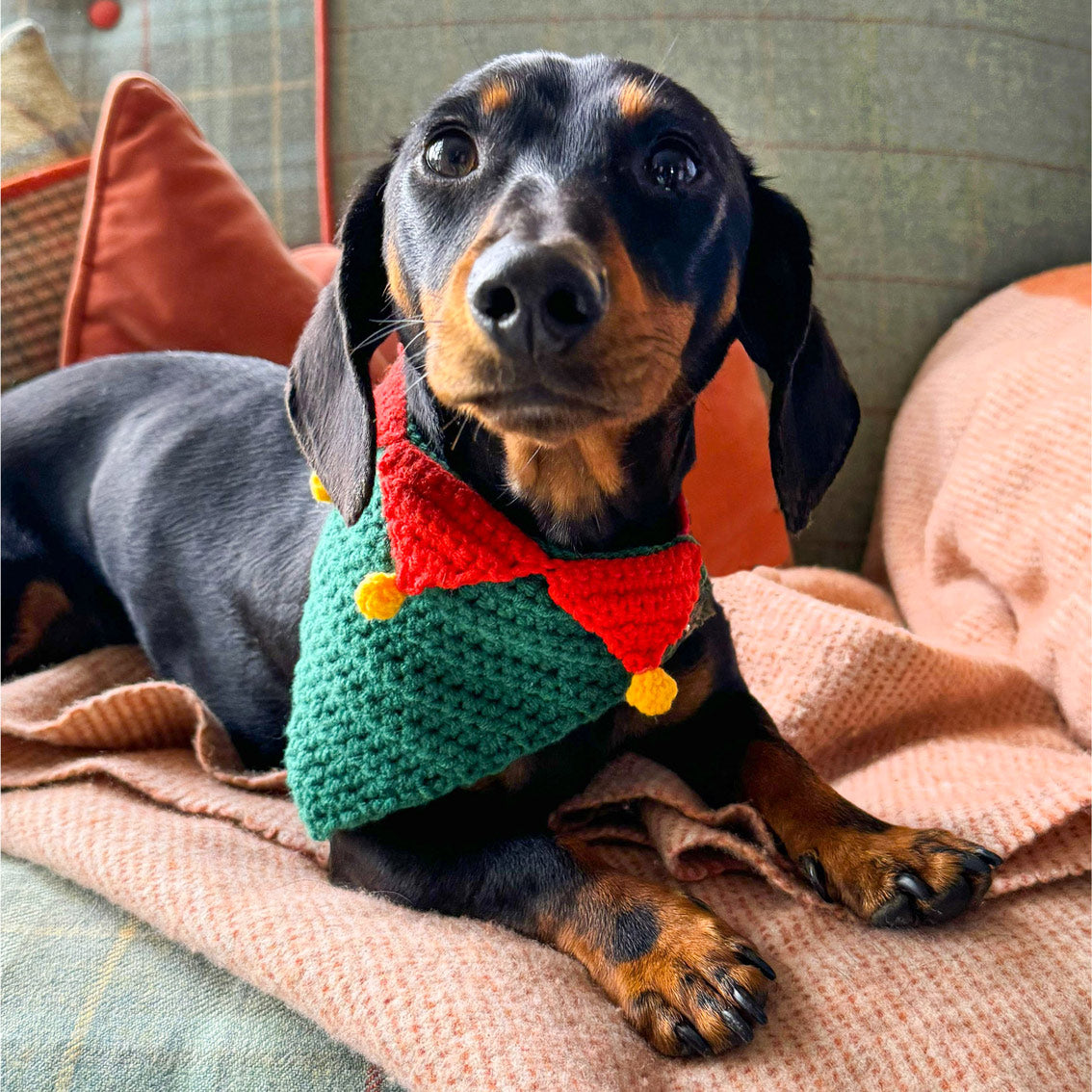 Dog / Cat Christmas Santa Bandana